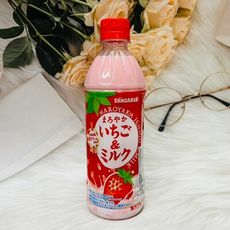 ☆潼漾小舖☆日本 SANGARIA 草莓牛奶風味飲 500ml 草莓飲 牛奶飲