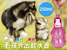 夏季出清一件不留！原價299 出清價99  寵物外出摺疊飲水壺250ml