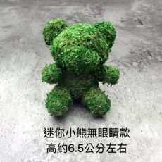 永生花花材，苔蘚動物，迷你小熊賣場