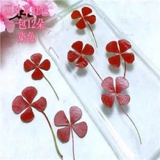 四葉草標本 幸運草滴膠乾花DIY押花材料，2-3公分12朵(10入)
