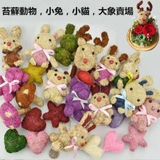 永生花花材，苔蘚動物，小兔，小貓，大象賣場