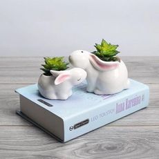 創意多肉花盆，永生花小花器 ，親子兔子一組