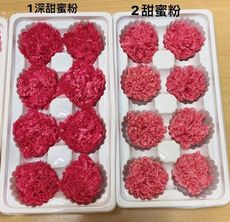 永生花花材，母親節康乃馨4-5CM，單朵價格(5入)