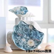 永生花禮盒貝殼擺件插花飾品，容器碗DIY，尺寸13*7*6cm (不含花材)