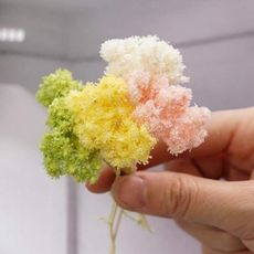 日本進口永生花花材，大地農園雪絨花，一份約8公分，一克裝(5入)
