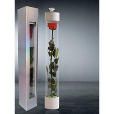 (RS手工花藝禮坊)永生花成品.單支玫瑰高級禮盒