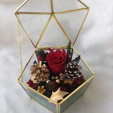 永生花五角玻璃花房，DIY材料包 (附製作說明圖)