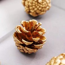 日本進口永生花花材，大地農園金色松果，直徑3.5-5公分，一顆(10入)