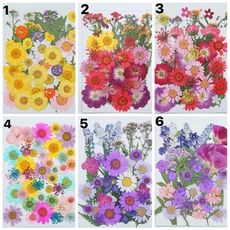 新品乾花DIY押花寫真，押花書簽壓花包，壓花畫材料，一包約35-42片