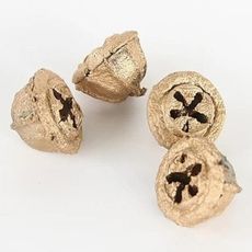 尤加利果爆開果尤加利葉永生花，禮盒永生花，花環車掛製作，尤加利果2顆裝(10入)