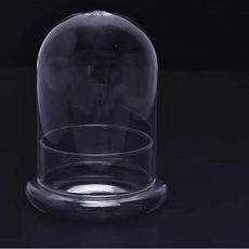 苔蘚創意許願生態微景觀玻璃瓶製品，尺寸12*16cm