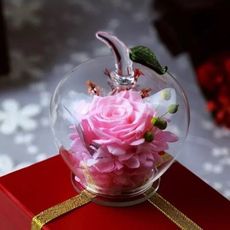 永生花．不凋花. 蘋果造型玻璃罩