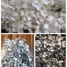 新款安娜帶銀粉，白銀，灰銀，亮粉(5入)