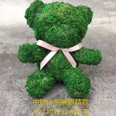 永生花花材，苔蘚動物，中號小熊賣場