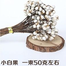 小白果乾花，冬菇草小花束，白色果實永生花禮盒花材，拍攝道具，一束50g左右