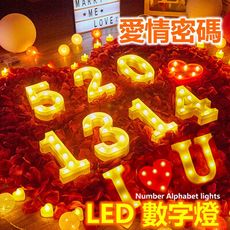 LED 數字燈 愛情密碼-520