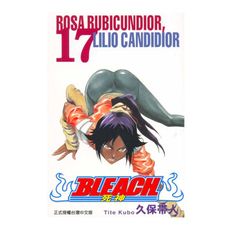 BLEACH死神(17)