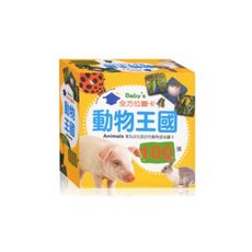 全方位圖卡(動物王國)