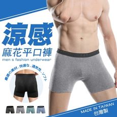 【e-bra時尚內衣】台灣製涼感麻花平口褲