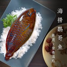 【頤珍宮膳】野生海撈鸚哥魚350g/尾