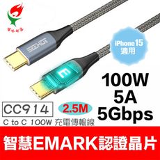 【SEEHOT】100W Type-C 鋁合金PD充電線 C to C傳輸線2.5米 (CC914)