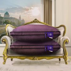 【Hilton 希爾頓】黛紫風情100%萊賽爾60支紗獨立筒枕(萊賽爾枕/枕頭)(B0117-L)