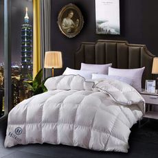 【Hilton 希爾頓】五星級頂級抗菌除臭100%天然羽毛被3.0kg(B0831-30)