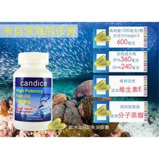 【Candice】康迪斯歐米加600魚油膠囊(90顆/瓶)