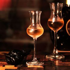 【義大利RCR】INVINO系列 Calice Acquavite Grappa 品酒杯 72ml