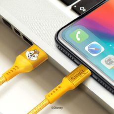 迪士尼 奇奇蒂蒂 Apple iPhone 傳輸充電線 Type-C 傳輸充電線