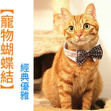 寵物蝴蝶結 貓狗領結 寵物服飾配件