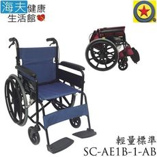 【海夫健康生活館】輪昇 可折背 輕量 通用型 輪椅(SC-AE1B-1-AB) 骨架布色隨機出貨