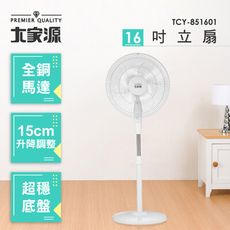 【大家源】14吋立扇