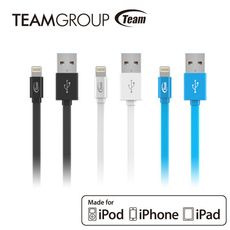 TEAM十銓科技 Apple原廠認證充電/傳輸線 TWC08