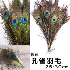 羽毛 孔雀毛 孔雀羽毛 (20-30cm) 捕夢網(10入) 插花居家 DIY佈置 婚慶擺設 插花