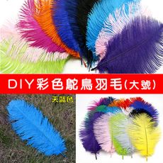 5色 羽毛 鴕鳥羽毛(35-45cm)DIY配件 硬羽毛 天然羽毛 軟羽毛 彩色羽毛 鴕鳥毛