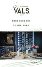 【VALS】法國原裝進口 法兒天然氣泡礦泉水12瓶/箱 (750ml/瓶)