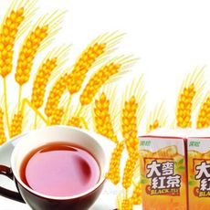!!黑松-大麥紅茶300ml(1瓶)