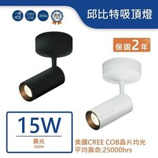 舞光LED 15W邱比特吸頂燈(暖白)(白/黑) LED-CCP15W(保固兩年)(附發票)