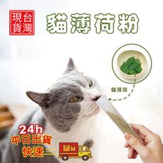 貓薄荷粉去毛球貓草40ml-貓草 木天蓼葉 貓零食 貓食 貓玩具 天然貓薄荷葉粉乾葉 貓薄荷粉