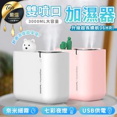 【大容量雙噴3000ML】造型雙噴口加濕器 精油 水氧機 香薰機 香氛機 交換禮物 HNHAA3