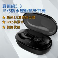 真無線5.0 IPX5防水藍牙運動耳機-DR10