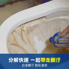 【日本第一石鹼】馬桶清潔 廁所清潔劑 馬桶除臭劑 馬桶除垢 亮白 除菌