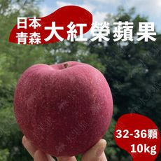 水果狼- 日本青森大紅榮蘋果 32-36顆裝 / 原裝箱 10kg 免運