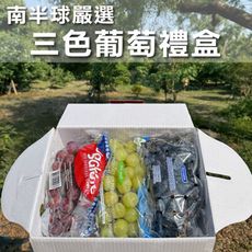 水果狼- 嚴選三色葡萄禮盒裝/3kg