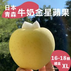 水果狼- 日本青森牛奶金星蘋果XL 16-18顆裝 / 禮盒 5kg 免運