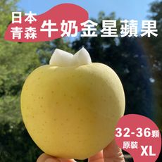 水果狼- 日本青森牛奶金星蘋果XL 32-36顆裝 / 原裝箱 10kg 免運