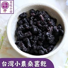 雙11特賣【果乾小弟】酸甜桑葚乾 黑桑葚乾 果乾 台灣水果 伴手禮 台灣名產 現貨 台灣小農