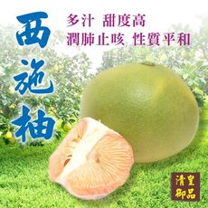 清皇御品 麻豆謝家 西施柚 (5-12粒)