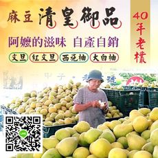 清皇御品 麻豆文旦(郭) 10台斤 (8-12粒)